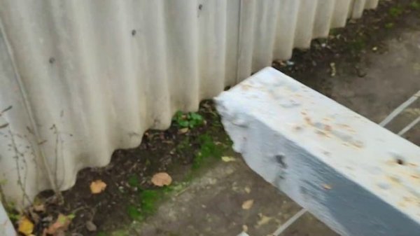 Укрытие винограда дорнитом (геотекстилем) на зиму. 24.11.24