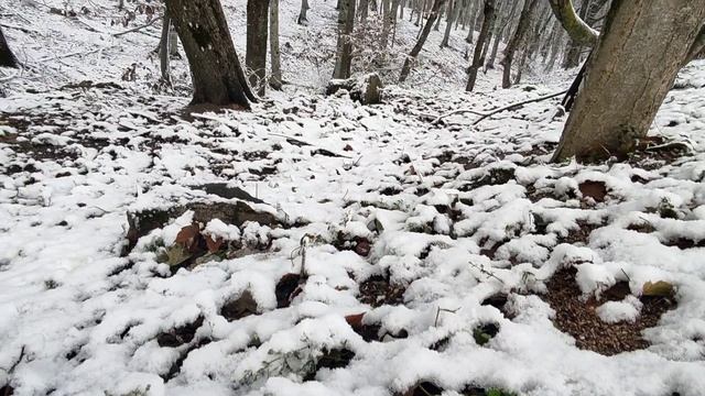 Крым 💖💖💖 Снег ❄️❄️❄️ смотреть онлайн