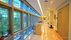 Korea University Guro Hospital Tour in Seoul with Autumn Leaves