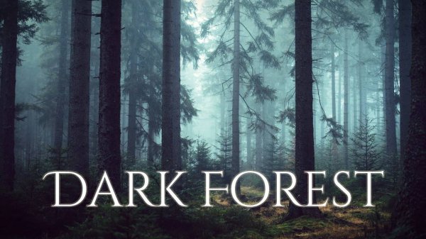 Dark forest/DND ambience/Grimdark/Fantasy/RPG playlist
