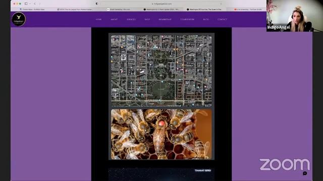 Indigo Angel with gene Decode смотреть онлайн