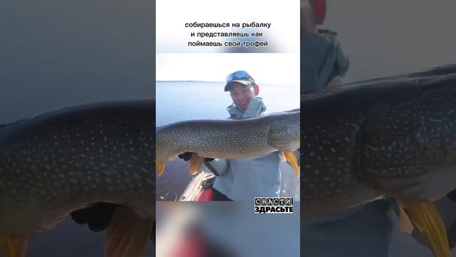 Трофейная рыбалка – она такая#снастиздрасьте смотреть онлайн