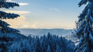 На отпевании молодого парня священник заметил что-то необычное. Через минуту церковь потрясло…