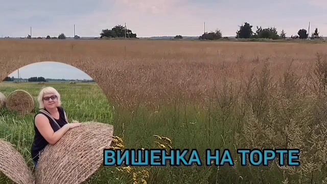 УСТРОИЛА НАСТОЯЩИЙ РАЗВРАТ. VREDINA LIFE. ОБЗОР.