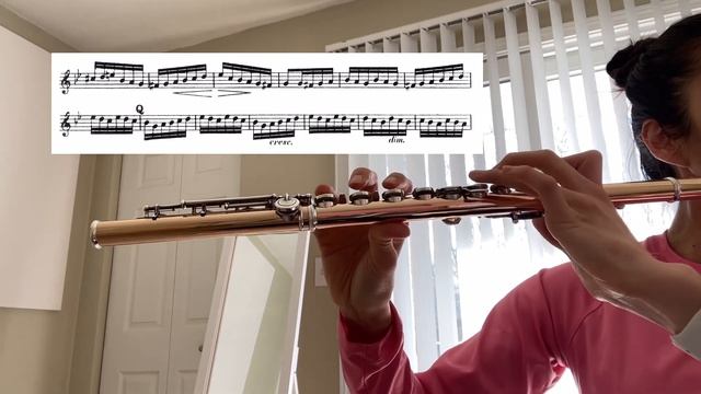 [4/26/24 practice log] Mendelssohn A Midsummer Night’s Dream flute excerpt смотреть онлайн