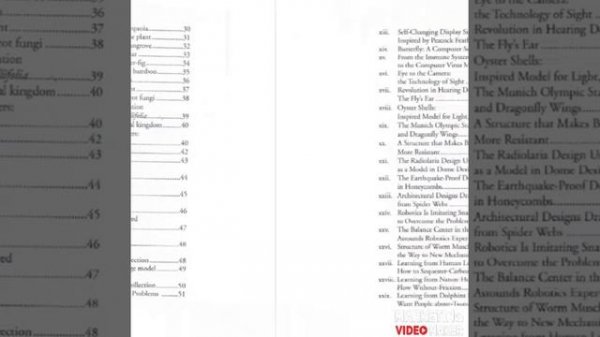 Mimicking nature:A solution to sustainable development