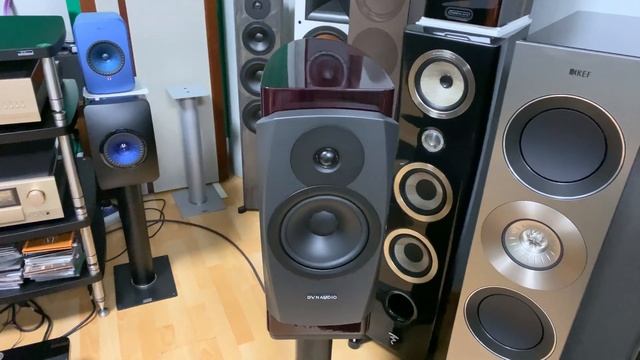 DYNAUDIO Confidence 20 - High Class Standmount Speakers