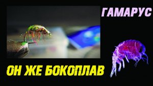 МУШКА НА ХАРИУСА, БОКОПЛАВ, ВЯЖЕМ СВОИМИ РУКАМИ