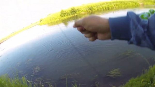 Jackall Timon Tricoroll Ryushin. Воблеры для ловли форели, голавля, жереха на течении