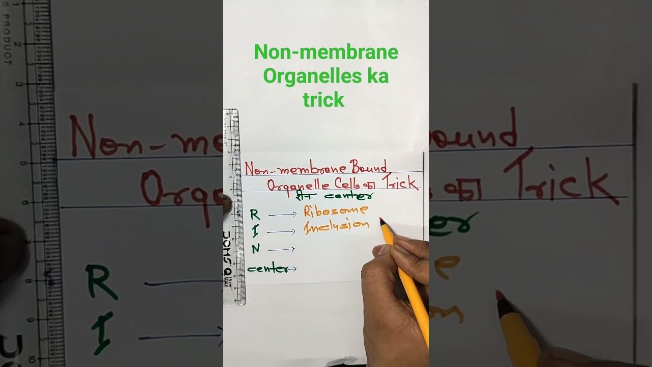 Non membrane bound organelles # non membrane bound organelles ka trick #tricks смотреть онлайн