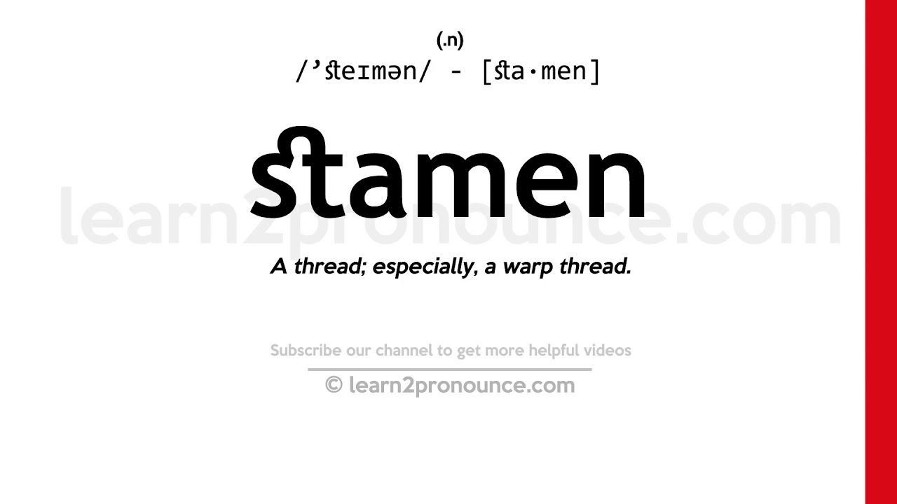 Pronunciation of Stamen | Definition of Stamen смотреть онлайн