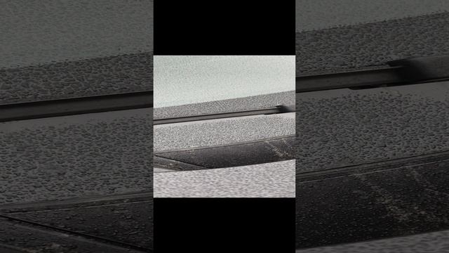 1000065772.mp4 смотреть онлайн