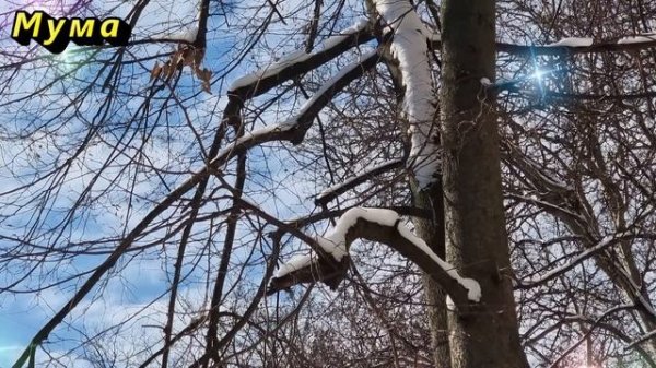 Будут ли морозы страшнее, чем когда-либо? Прогноз на зиму 2025. Астрологический прогноз. Приметы