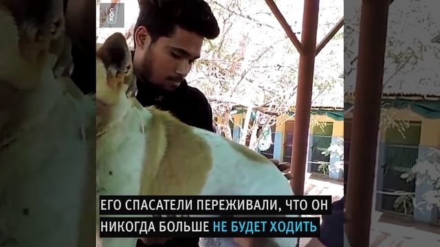 Корпорация Юмора - Видео Корпорация Юмора смотреть онлайн