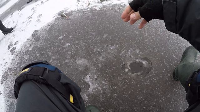КЛЮЄ З КОЖНОЇ ЛУНКИ! Потрапили на ЖОР ОКУНЯ по останній кризі. смотреть онлайн