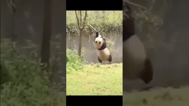 Корпорация Юмора - Видео Корпорация Юмора смотреть онлайн