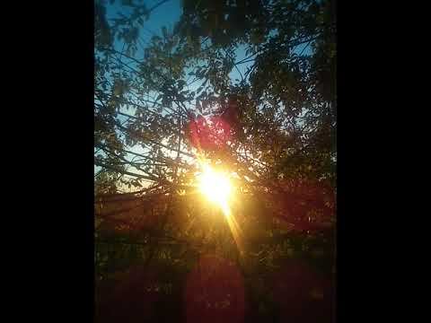 Как Прекрасен Этот Мир, Посмотри!!!💃🕺☀️👀 смотреть онлайн