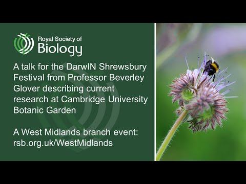 Research driven by botanic gardens | Royal Society of Biology West Midlands branch смотреть онлайн