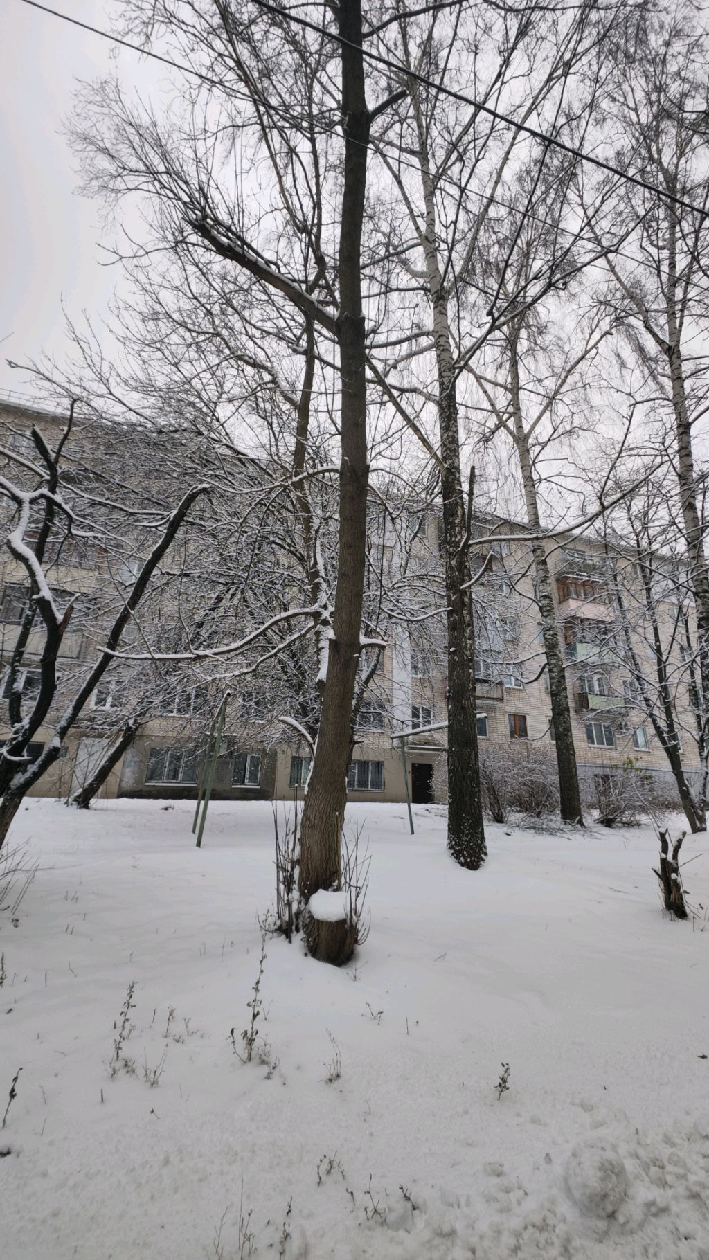 делаю лапку смотреть онлайн