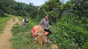 Single mother and a kind man, helped by the authorities - to find out the bad guys, - ly tu tay