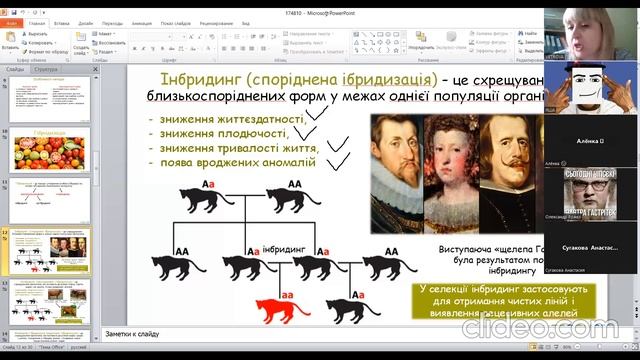 селекція смотреть онлайн