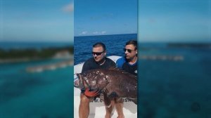 18+ ОТЕЛЬ НА МАЛЬДИВАХ ВСЕ ВКЛЮЧЕНО | Mercure Maldives Kooddoo Resort all inclusive