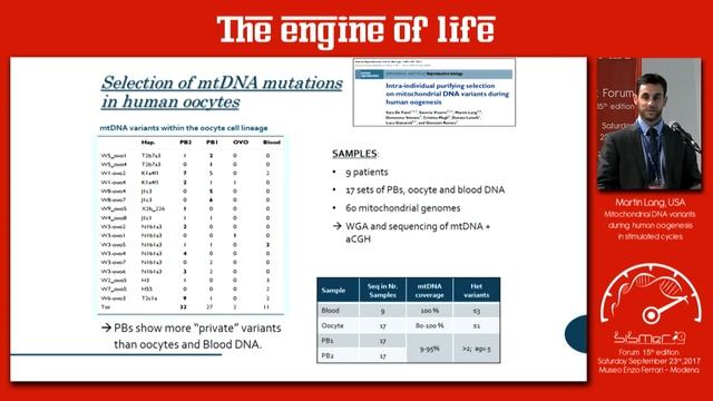“Mitochondrial DNA variants during human oogenesis in stimulated cycles” Dr. Martin Lang USA смотреть онлайн