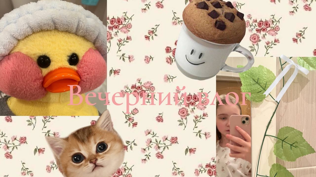 Наш вечерний влог смотреть онлайн