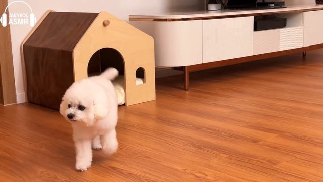 ASMR ICE CREAM PINK BLUE PARTY 다양한 블루 핑크 아이스크림 젤리 먹방 DESSERTS JELLY CANDY MUKBANG EATING SOUNDS 咀嚼音 смотреть онлайн