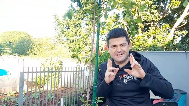 Tive que REPLANTAR URGENTE duas PLANTAS ornamentais no meu JARDIM e cuidar dos CANTEIROS da HORTA смотреть онлайн