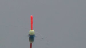 ОКУНЬ НА ЖИВЦА. ОСЕННЯЯ РЫБАЛКА НА ПОПЛАВОК.