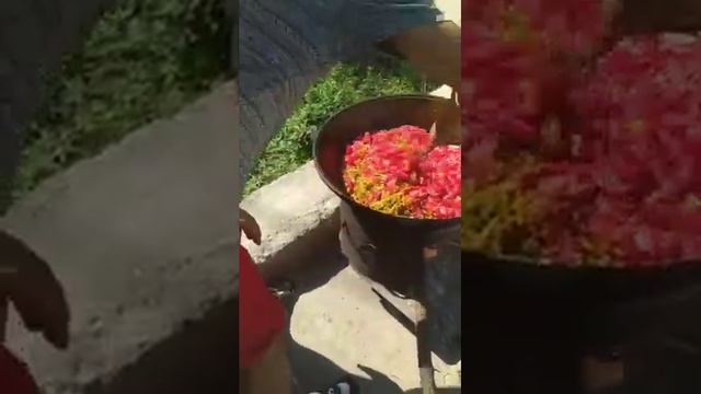 готовим жаренный салат на зиму смотреть онлайн