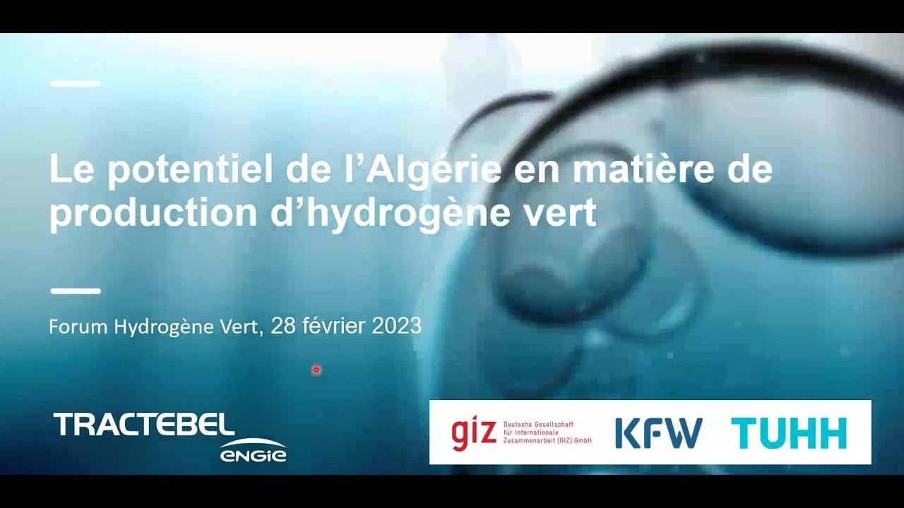 Green Hydrogen in Algeria: Série de webinaires "Forum Hydrogéne Vert" giz Algeria, KfW et TUHH смотреть онлайн