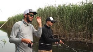 Спиннинг Norstream Nibble. Универсальный ультралайт для джига и воблеров