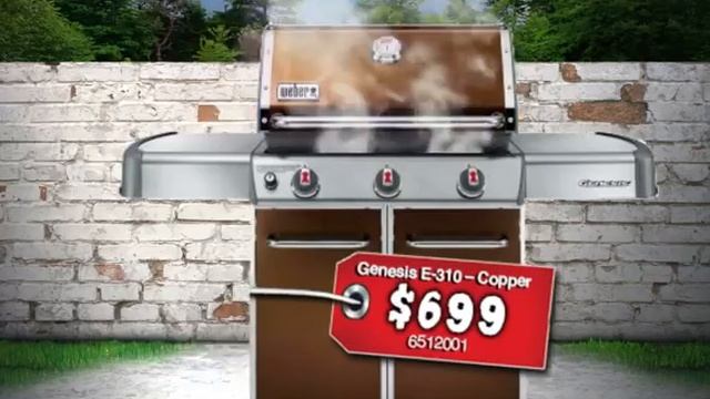 Gerhards Weber Grill Season смотреть онлайн