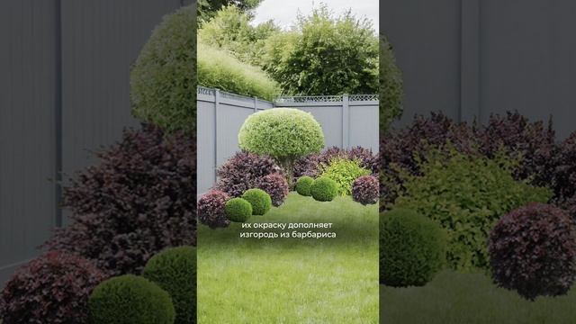 Как прикрыть угол на участке？ смотреть онлайн