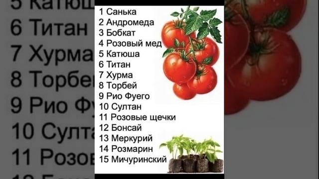 маринад для грибов,лечо. смотреть онлайн