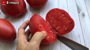 Самые КРУПНЫЕ ТОМАТЫ в 2024, ВКУСНЫЕ ГИГАНТЫ