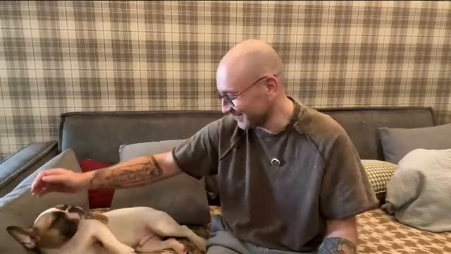 ПОЧЕМУ Я ТАК НАЗВАЛ ФРАНЦУЗСКОГО БУЛЬДОГА? смотреть онлайн