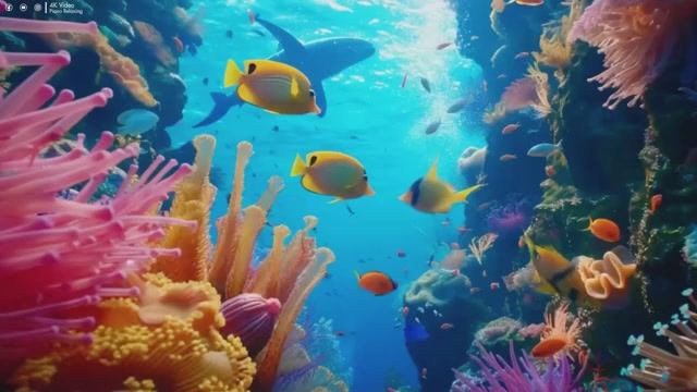 The Ocean (4K UltraHD)- Relaxation Film - Peaceful Relaxing Music - 4k Video UltraHD смотреть онлайн