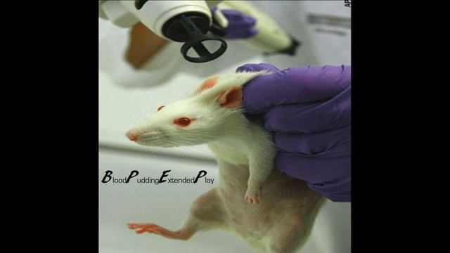 Experimenting With Rodents смотреть онлайн