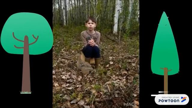 проект хабаровск утка смотреть онлайн