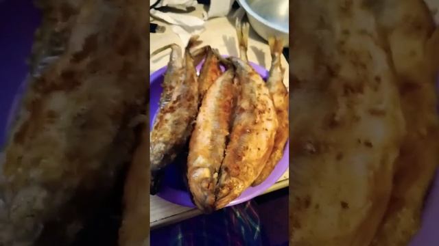 мама пожарила сахолинскую корюшку #корюшка #мама #еда #сахолин смотреть онлайн