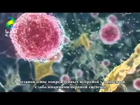 Тайцзи Шен Профилактика и лечение заболеваний нервной системы смотреть онлайн