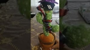 Распаковка танцевального кактуса