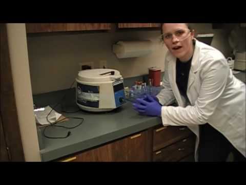 1. Prepare the serum and plasma for small animal смотреть онлайн