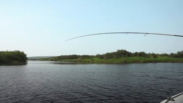 Этот воблер КОСИТ ЩУКУ! Рыбалка с Jackall Rerange 130MR 0+