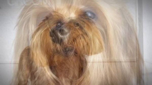 Sunrise Groom Studio