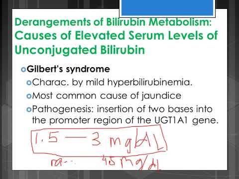 LIVER FUNCTION Part 2 clinical chemistry смотреть онлайн