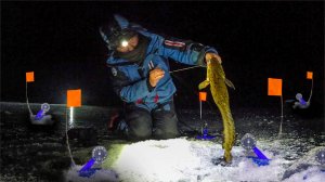 БЕЗУМНАЯ РЫБАЛКА В КАРЕЛИИ! НАЛИМА НЕМЕРЕНО! МЫ НЕ ОЖИДАЛИ,ЧТО В ЭТОМ ТРОСТНИКЕ БУДЕТ СТОЛЬКО РЫБЫ!